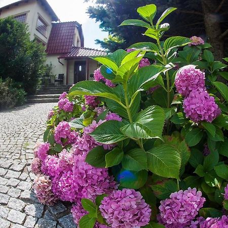 Villa Jasmin Zielona Góra Exterior foto