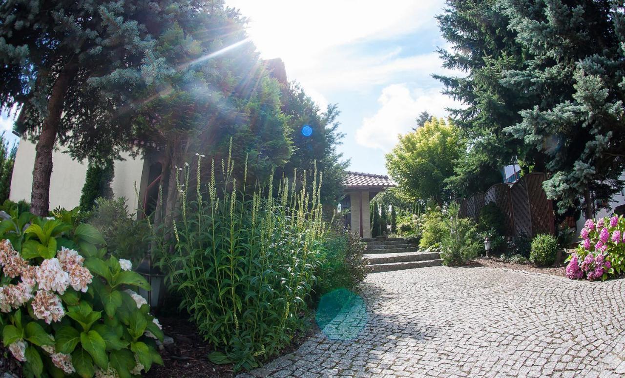 Villa Jasmin Zielona Góra Exterior foto