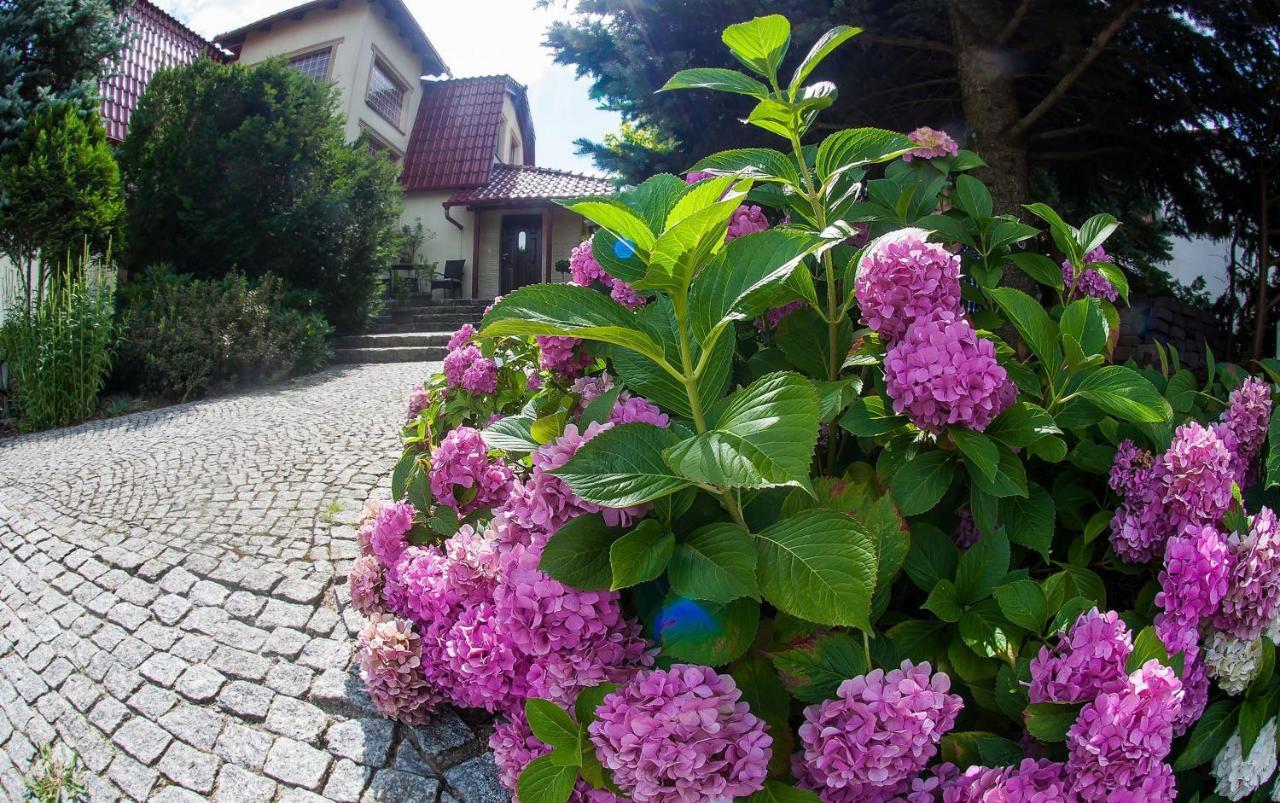 Villa Jasmin Zielona Góra Exterior foto